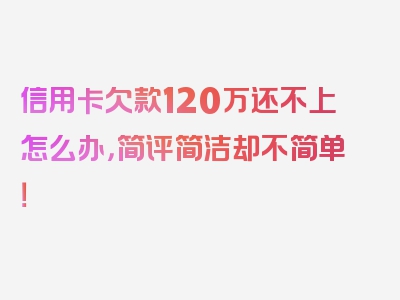 信用卡欠款120万还不上怎么办，简评简洁却不简单！