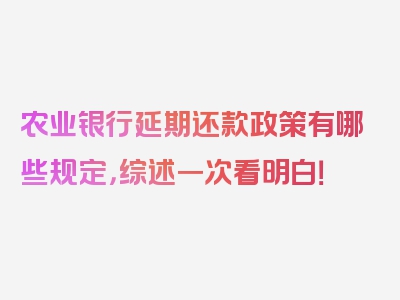 农业银行延期还款政策有哪些规定，综述一次看明白！