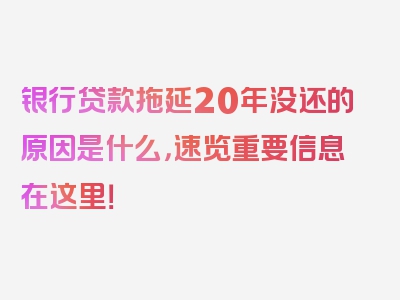 银行贷款拖延20年没还的原因是什么，速览重要信息在这里！