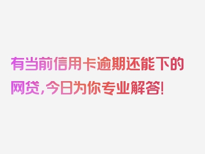 有当前信用卡逾期还能下的网贷，今日为你专业解答!