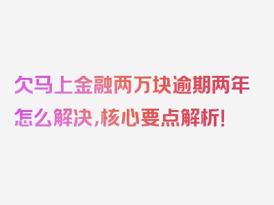 欠马上金融两万块逾期两年怎么解决，核心要点解析！