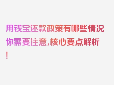 用钱宝还款政策有哪些情况你需要注意，核心要点解析！