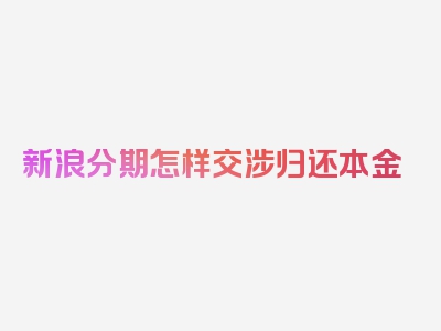 新浪分期怎样交涉归还本金