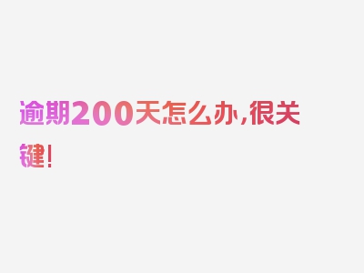 逾期200天怎么办，很关键!