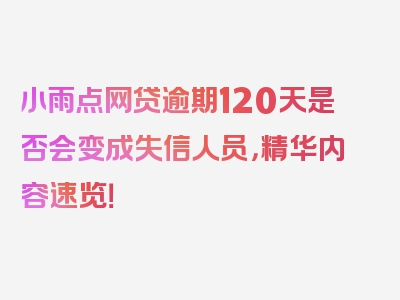 小雨点网贷逾期120天是否会变成失信人员，精华内容速览！