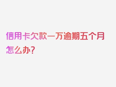 信用卡欠款一万逾期五个月怎么办？