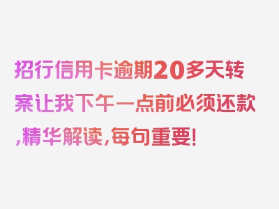 招行信用卡逾期20多天转案让我下午一点前必须还款，精华解读，每句重要！