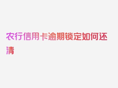 农行信用卡逾期锁定如何还清