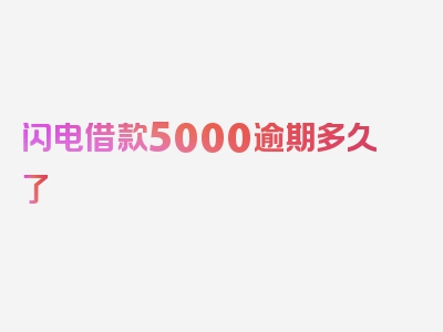 闪电借款5000逾期多久了