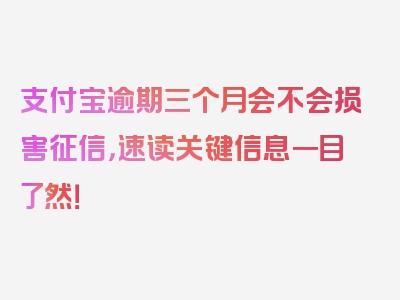 支付宝逾期三个月会不会损害征信，速读关键信息一目了然！