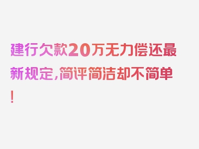 建行欠款20万无力偿还最新规定，简评简洁却不简单！