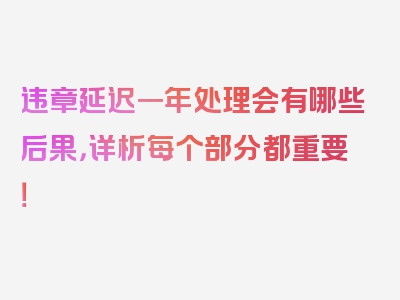 违章延迟一年处理会有哪些后果，详析每个部分都重要！