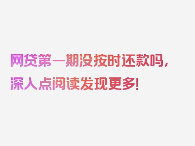 网贷第一期没按时还款吗，深入点阅读发现更多！