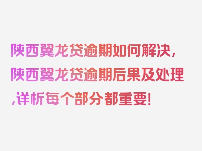 陕西翼龙贷逾期如何解决,陕西翼龙贷逾期后果及处理，详析每个部分都重要！