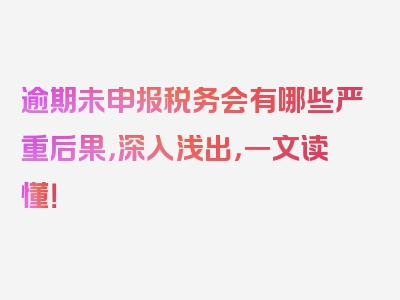 逾期未申报税务会有哪些严重后果，深入浅出，一文读懂！