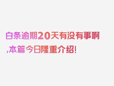 白条逾期20天有没有事啊，本篇今日隆重介绍!