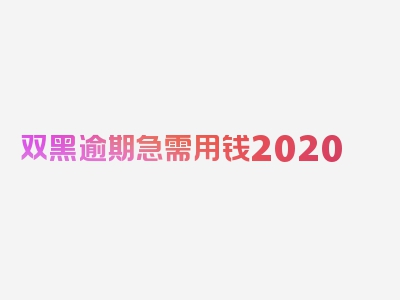 双黑逾期急需用钱2020