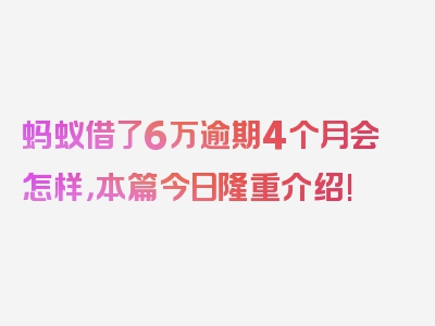 蚂蚁借了6万逾期4个月会怎样，本篇今日隆重介绍!