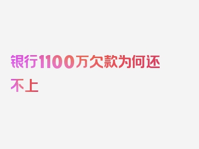 银行1100万欠款为何还不上