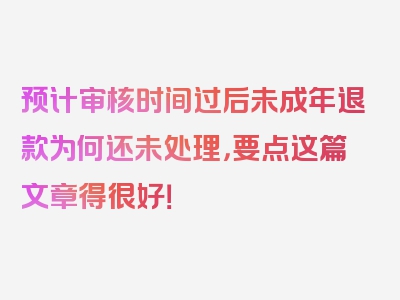 预计审核时间过后未成年退款为何还未处理，要点这篇文章得很好！