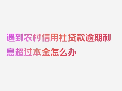 遇到农村信用社贷款逾期利息超过本金怎么办