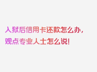 入狱后信用卡还款怎么办，观点专业人士怎么说！