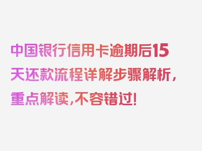 中国银行信用卡逾期后15天还款流程详解步骤解析，重点解读，不容错过！