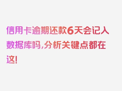 信用卡逾期还款6天会记入数据库吗，分析关键点都在这！