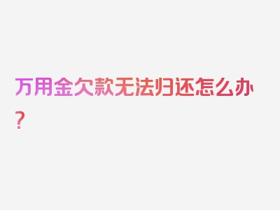 万用金欠款无法归还怎么办？