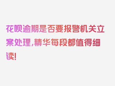 花呗逾期是否要报警机关立案处理，精华每段都值得细读！