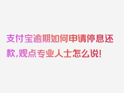 支付宝逾期如何申请停息还款，观点专业人士怎么说！