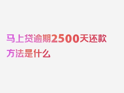 马上贷逾期2500天还款方法是什么