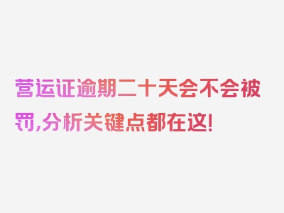 营运证逾期二十天会不会被罚，分析关键点都在这！