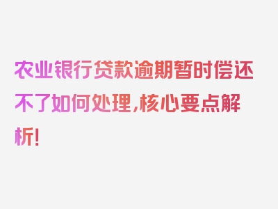 农业银行贷款逾期暂时偿还不了如何处理，核心要点解析！