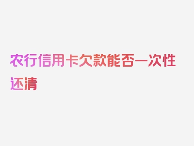 农行信用卡欠款能否一次性还清