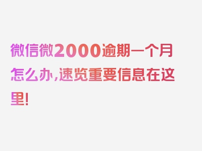 微信微2000逾期一个月怎么办，速览重要信息在这里！