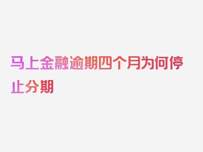 马上金融逾期四个月为何停止分期