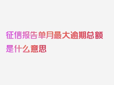 征信报告单月最大逾期总额是什么意思