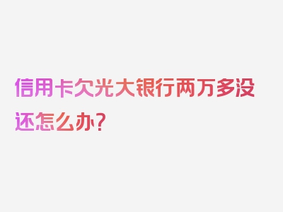 信用卡欠光大银行两万多没还怎么办？