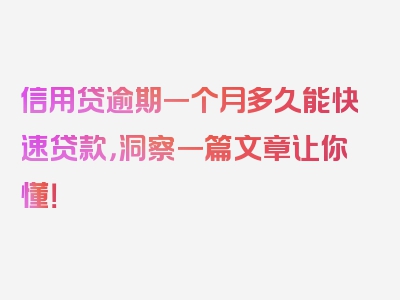 信用贷逾期一个月多久能快速贷款，洞察一篇文章让你懂！