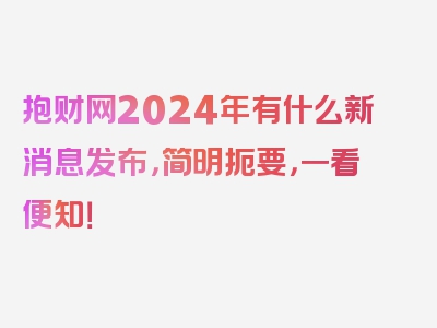 抱财网2024年有什么新消息发布，简明扼要，一看便知！