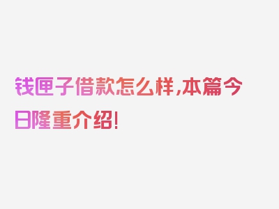 钱匣子借款怎么样，本篇今日隆重介绍!