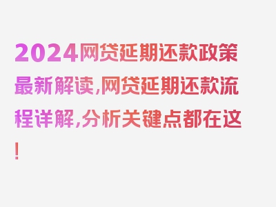 2024网贷延期还款政策最新解读,网贷延期还款流程详解，分析关键点都在这！