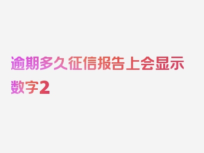 逾期多久征信报告上会显示数字2