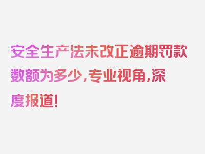 安全生产法未改正逾期罚款数额为多少，专业视角，深度报道！