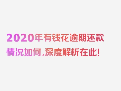 2020年有钱花逾期还款情况如何，深度解析在此！