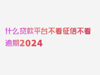 什么贷款平台不看征信不看逾期2024