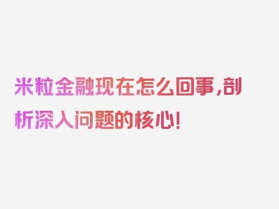 米粒金融现在怎么回事，剖析深入问题的核心！