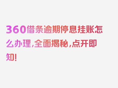 360借条逾期停息挂账怎么办理，全面揭秘，点开即知！