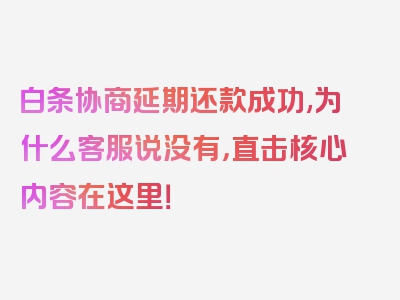 白条协商延期还款成功,为什么客服说没有，直击核心内容在这里！